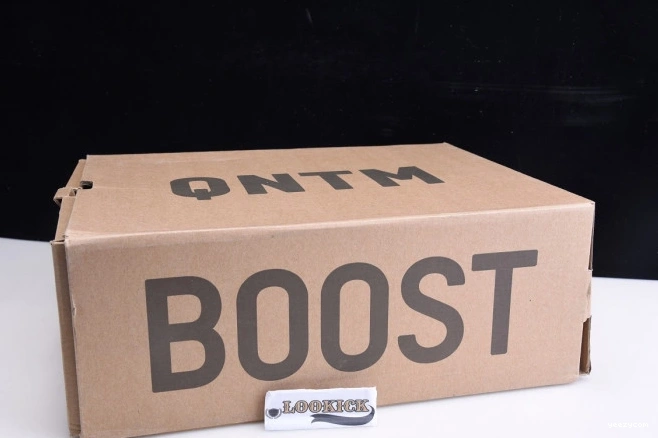 Yeezy Quantum Adidas YZY Q46473 QNTM 1003